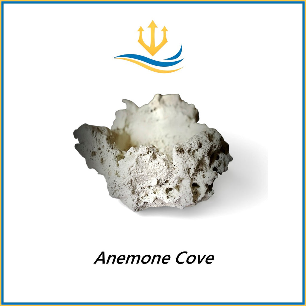 Poseidon-Art-Rocks-Rocce-Acquario-Marino-Rocks-Reef-Tank-Coral-Aquarium-Anemone-Cove