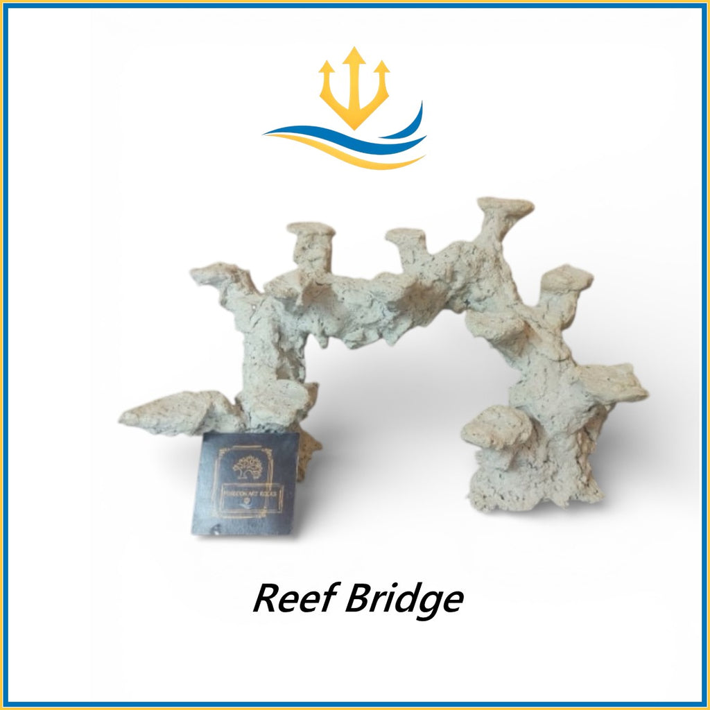 Poseidon-Art-Rocks-Rocce-Acquario-Marino-Rocks-Reef-Tank-Coral-Aquarium-Reef-Bridge