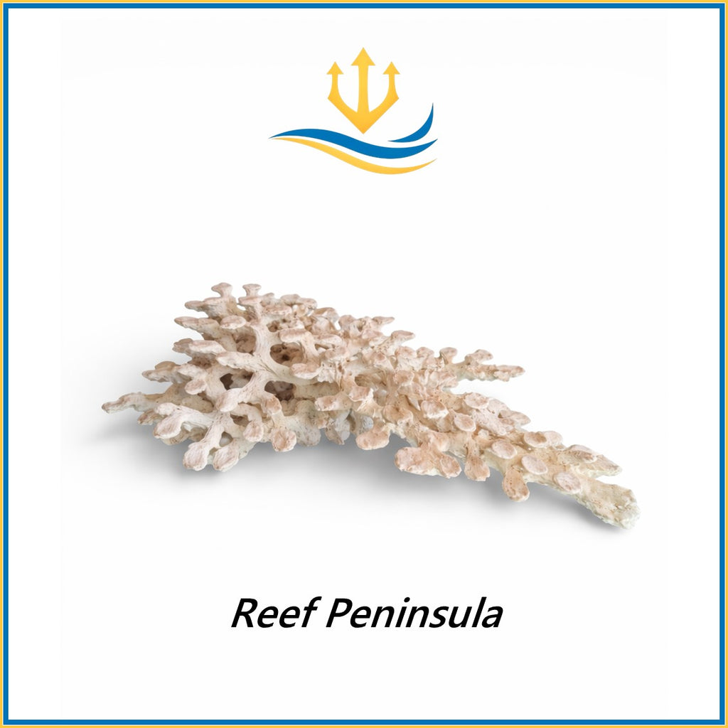 Poseidon-Art-Rocks-Rocce-Acquario-Marino-Rocks-Reef-Tank-Coral-Aquarium-Reef-Peninsula