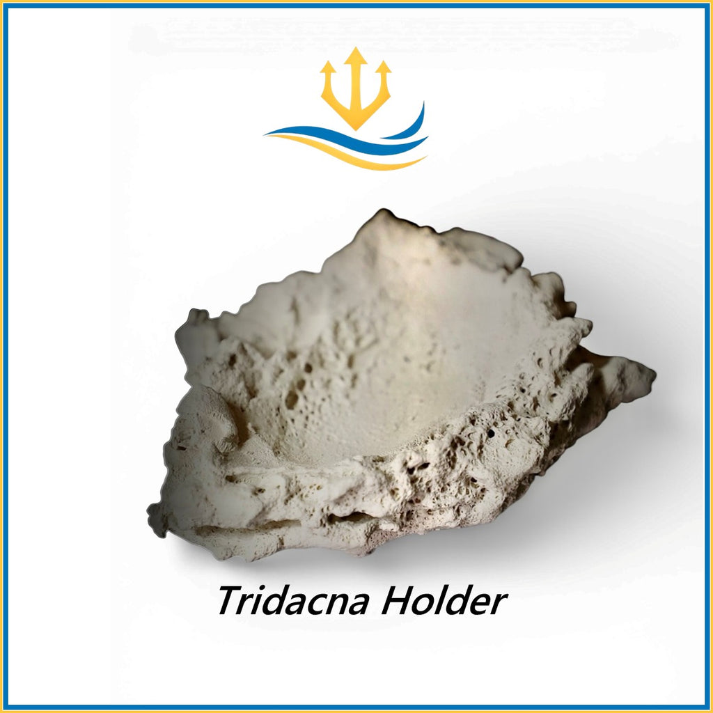 Poseidon-Art-Rocks-Rocce-Acquario-Marino-Rocks-Reef-Tank-Coral-Aquarium-Tridacna-Holder