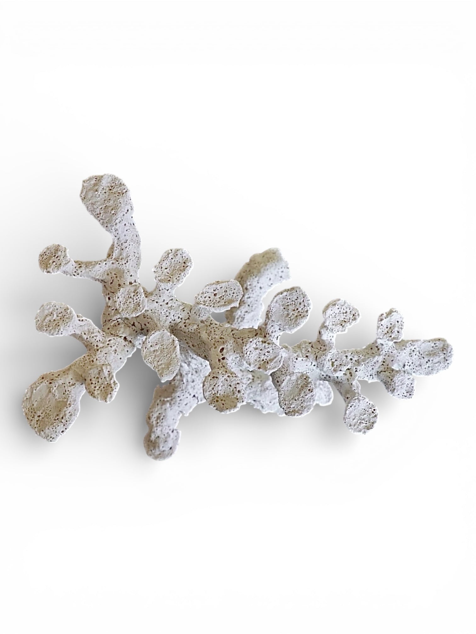 Poseidon-Poseidonartrocks-Long-reef-tree