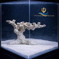 Poseidon-Poseidonartrocks-aquarium-tank-Aquascaping-Reef-Tree