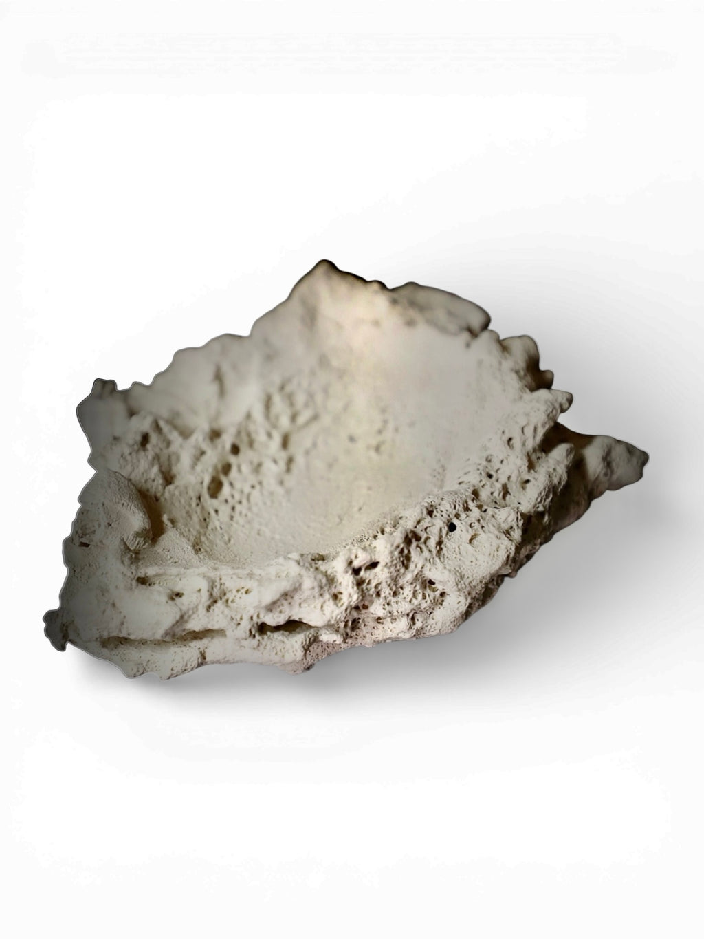Poseidon-Poseidonartrocks-aquarium-tank-Aquascaping-Tridacna-Holder