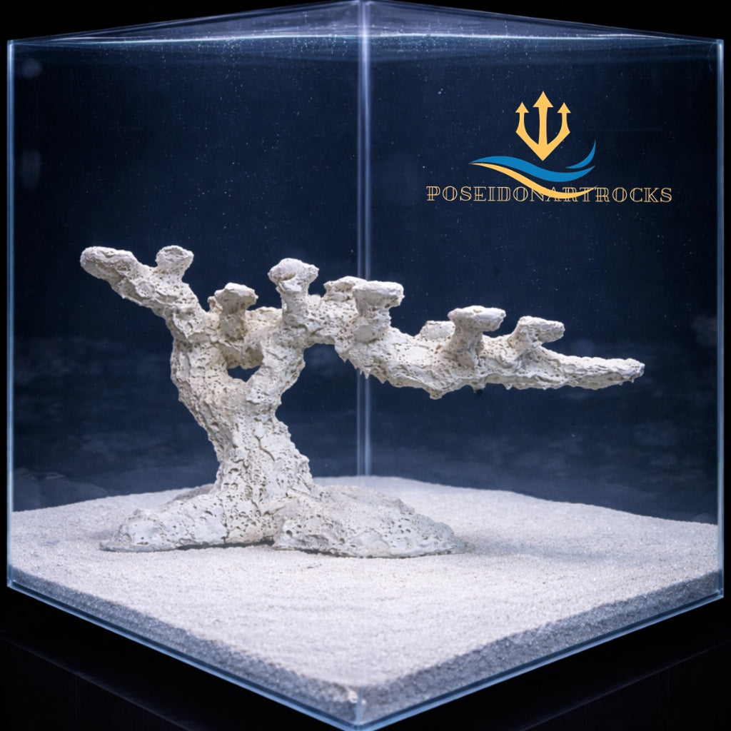 Poseidon-Poseidonartrocks-Long-reef-tree
