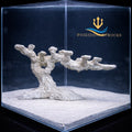 Poseidon-Poseidonartrocks-Long-reef-tree