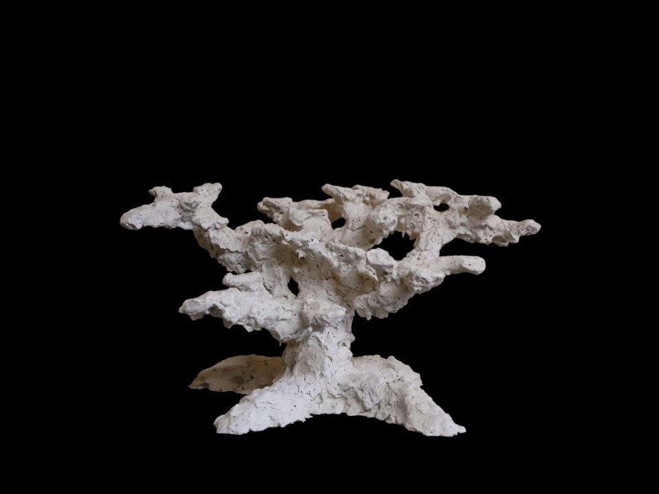 Reef Rock Standard #2 – PoseidonArtRocks